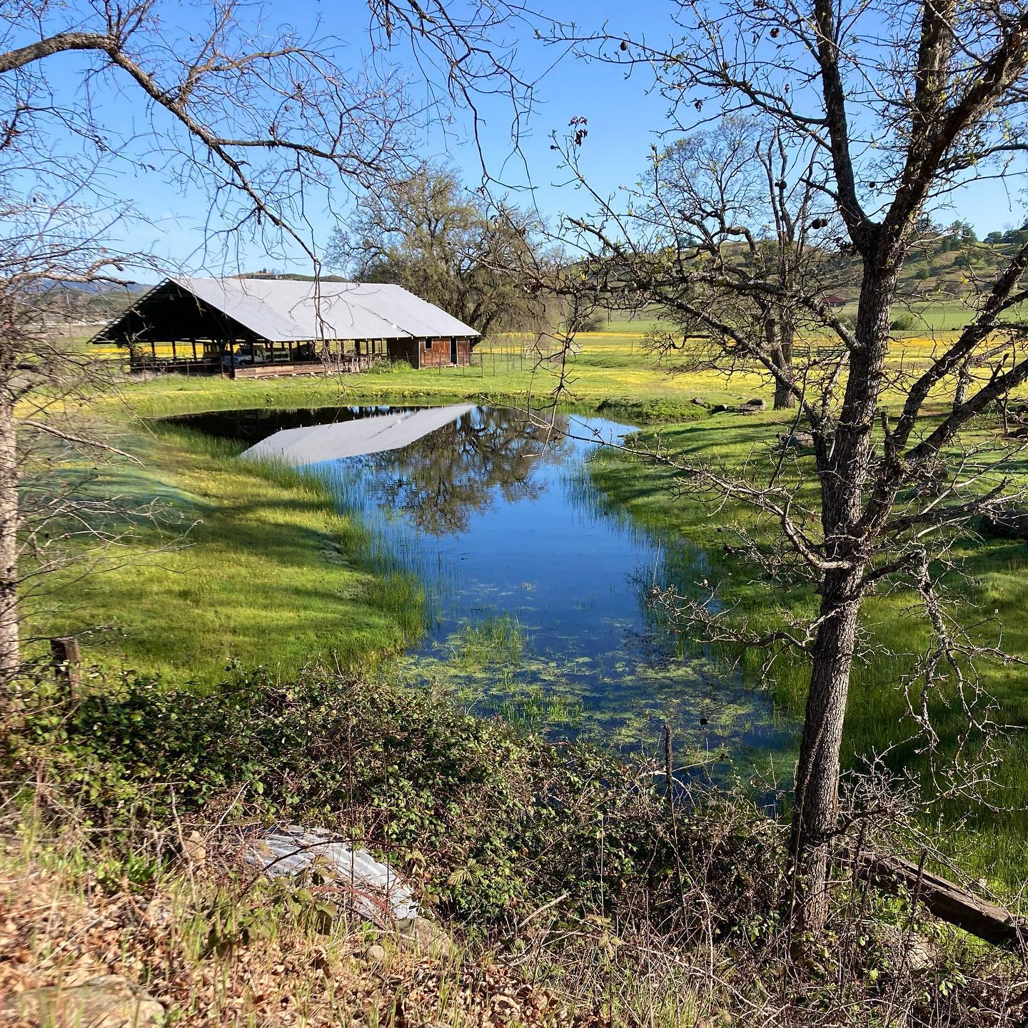 Visit South Lake County