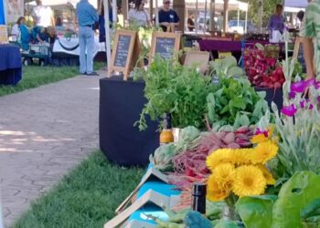 xr:d:DAFpLa-aQ-U:265,j:1833381549147033030,t:24012414